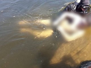 В Башкирии за три дня утонули шесть человек