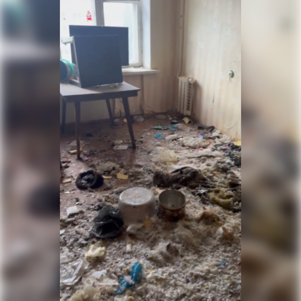 «В квартире гнила собака»: уфимцы три года борются с вопиющей антисанитарией соседки «В квартире гнила собака»: уфимцы три года борются с вопиющей антисанитарией соседки