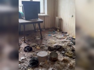 «В квартире гнила собака»: уфимцы три года борются с вопиющей антисанитарией соседки