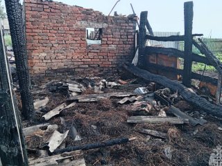 68 птиц и 50 кроликов погибли при пожаре в Башкирии