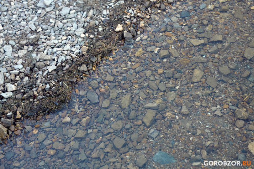 На водоемах Башкирии за сутки утонули трое мужчин На водоемах Башкирии за сутки утонули трое мужчин