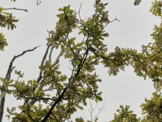Пять человек потерялись в Башкирии за сутки