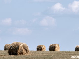 Сеют все, или Что на самом деле происходит в агропромышленном комплексе Башкирии