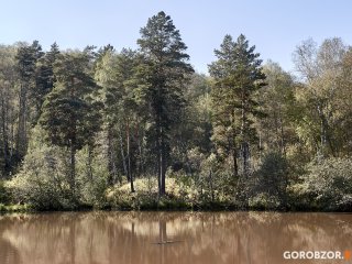 В Башкирии 13-летний ребенок ушел за ягодами в лес и провел ночь в заброшенном доме