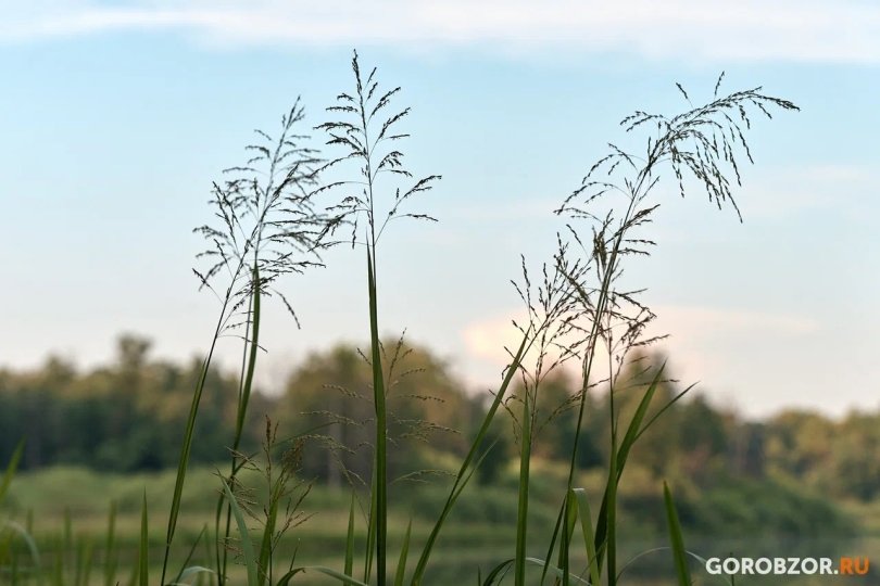 В Башкирии семья застряла на дороге к водопаду Куперля В Башкирии семья застряла на дороге к водопаду Куперля