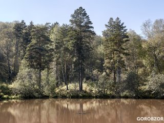 В районе Башкирии подтопило два участка дорог