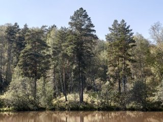 В Уфе парень поругался с девушкой и бросил ее одну в лесу