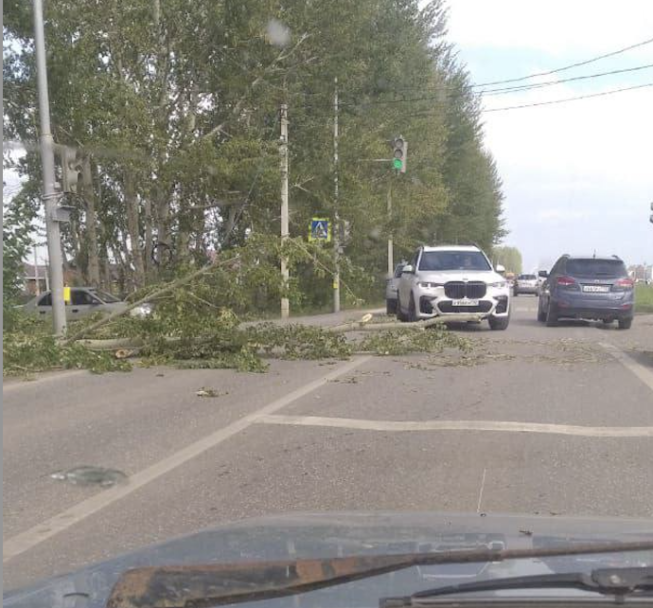 Упавшее дерево заблокировало проезд в уфимском Нагаево Упавшее дерево заблокировало проезд в уфимском Нагаево