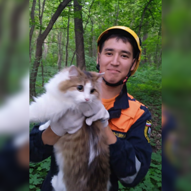 В Уфе спасатели помогли двум кошкам слезть с дерева В Уфе спасатели помогли двум кошкам слезть с дерева