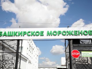 Башкирская компания экспортировала в Казахстан 21 тонну мороженого