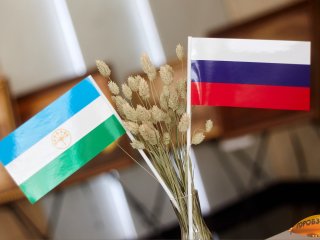 На выборы главы Башкирии планируют прийти более 70% избирателей