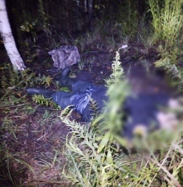 Под Уфой в лесу погиб 72-летний грибник Под Уфой в лесу погиб 72-летний грибник