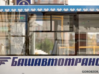В Башкирии из-за плохой погоды приостановили 14 автобусных рейсов