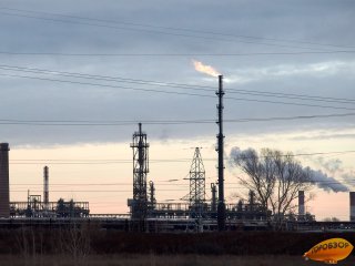 В Башкирии меры по повышению производительности труда применили 183 предприятия