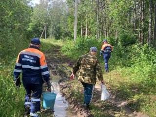 В Башкирии нашли пропавшего 65-летнего грибника