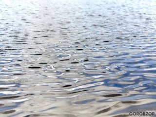 В Башкирии осудят четверых мужчин, незаконно выловивших более 1,1 тысячи раков и 100 рыб