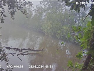 В Башкирии поднялся уровень воды в реке Уфе