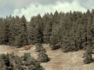 В Башкирии потерялись два человека