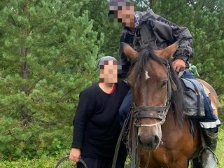 В Башкирии пропавшая женщина три дня провела в лесу