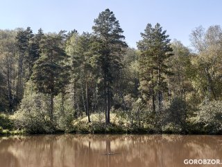 В Башкирии за сутки пропали 4 человека