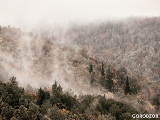 В Башкирии за сутки в лесу заблудились девять человек
