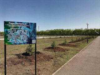 В башкирском селе Бакалы благоустроят парк