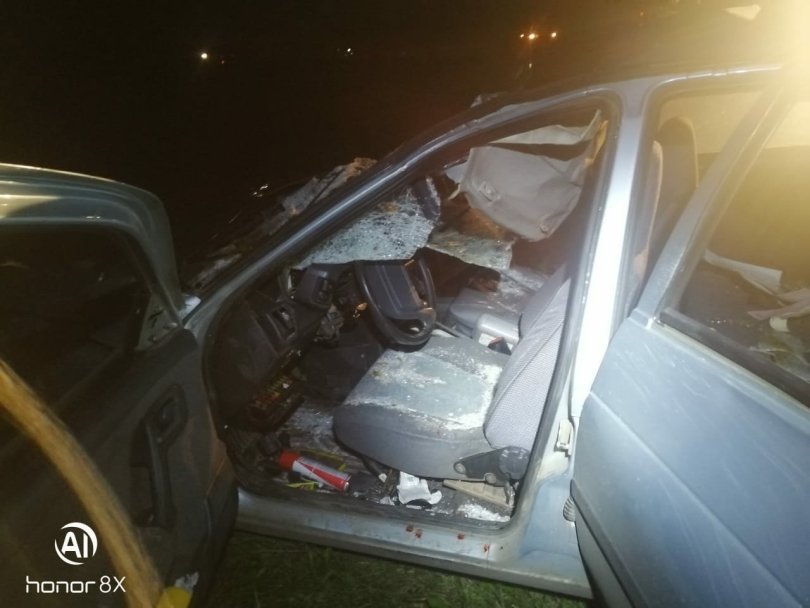 Два человека пострадали в результате наезда на лошадь в районе Башкирии Два человека пострадали в результате наезда на лошадь в районе Башкирии