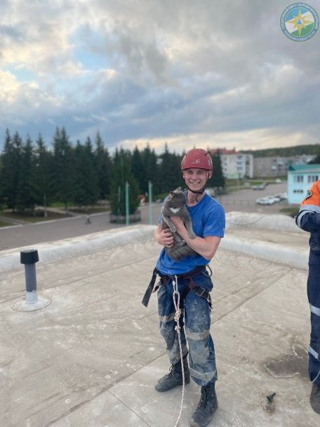 Под Уфой спасатели помогли коту, который застрял в вентиляционной шахте Под Уфой спасатели помогли коту, который застрял в вентиляционной шахте