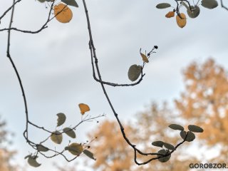 В Башкирии ожидается теплая погода с заморозками