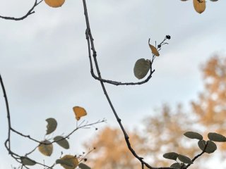 В Башкирии похолодает до +2 градусов