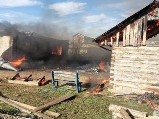 В Башкирии сгорел дом многодетной семьи