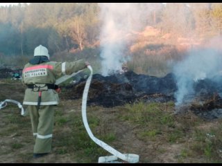 В Башкирии загорелась свалка