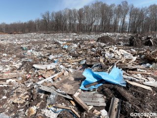В пяти населенных пунктах Башкирии обнаружили несанкционированные свалки