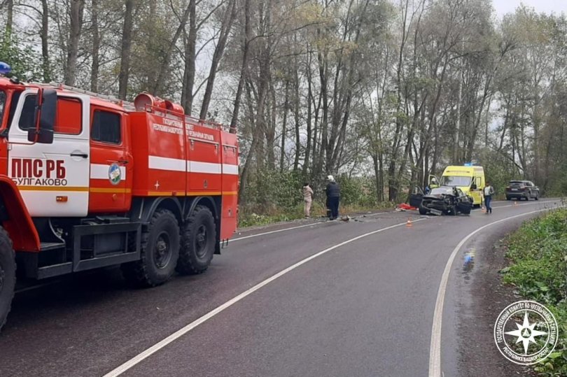 В Уфимском районе в аварии пострадали 2 человека В Уфимском районе в аварии пострадали 2 человека