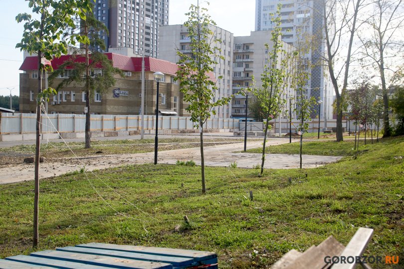 Власти опровергли сообщения о демонтаже посвященной бойцам СВО «Аллеи возвращения домой» в Уфе Власти опровергли сообщения о демонтаже посвященной бойцам СВО «Аллеи возвращения домой» в Уфе