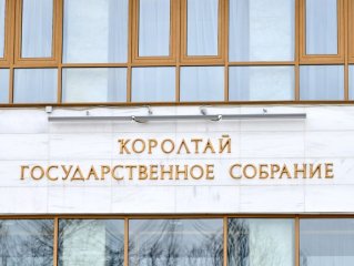 Запрет на пропаганду чайлдфри поддержан правительством России