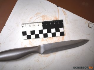 Житель Башкирии ударил собутыльника ножом в грудь и вызвал скорую