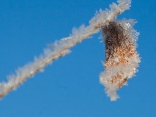 Жителей Башкирии предупреждают о заморозках