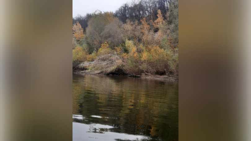 Стали известны итоги 191 поискового дня пропавшего в Уфе подростка Стали известны итоги 191 поискового дня пропавшего в Уфе подростка
