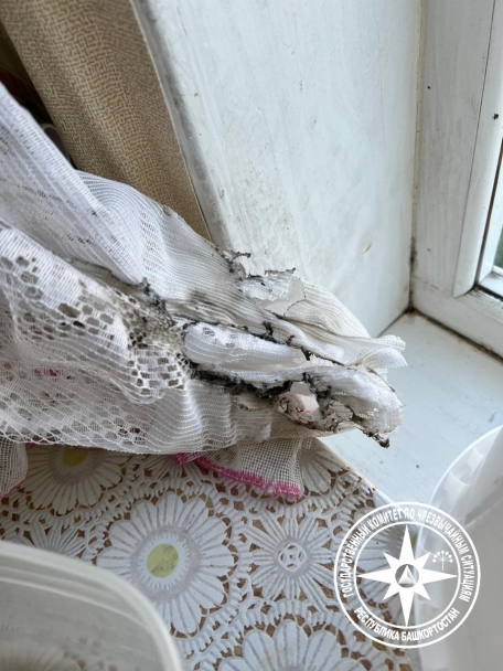 В Башкирии пожарный извещатель спас супружескую пару В Башкирии пожарный извещатель спас супружескую пару