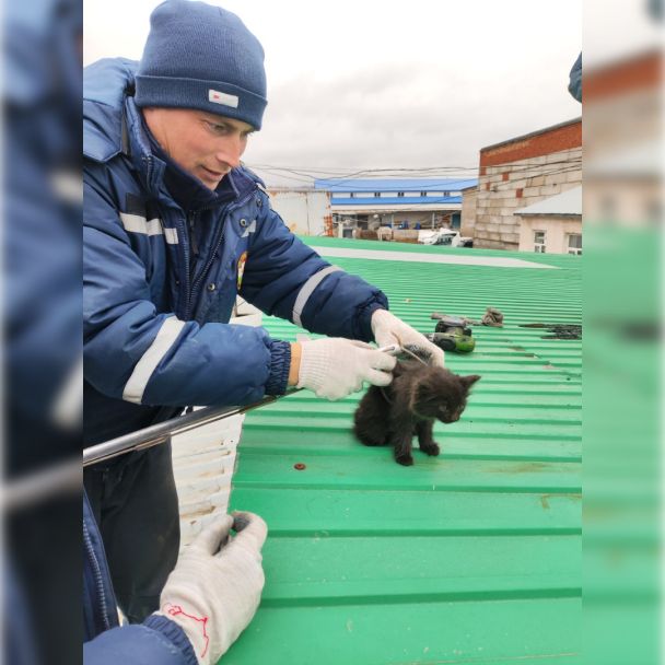 Уфимские спасатели помогли котенку, упавшему в четырехметровую трубу Уфимские спасатели помогли котенку, упавшему в четырехметровую трубу