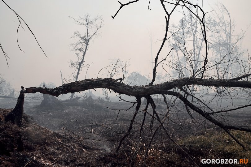 В Башкирии сохраняется чрезвычайная пожароопасность В Башкирии сохраняется чрезвычайная пожароопасность
