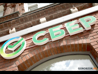Экология, финграмотность и забота о детях: волонтеры Сбера в Башкирии рассказали о главных проектах года