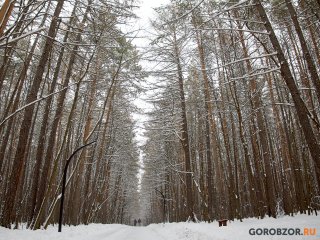 В Башкирии похолодает до -12 градусов