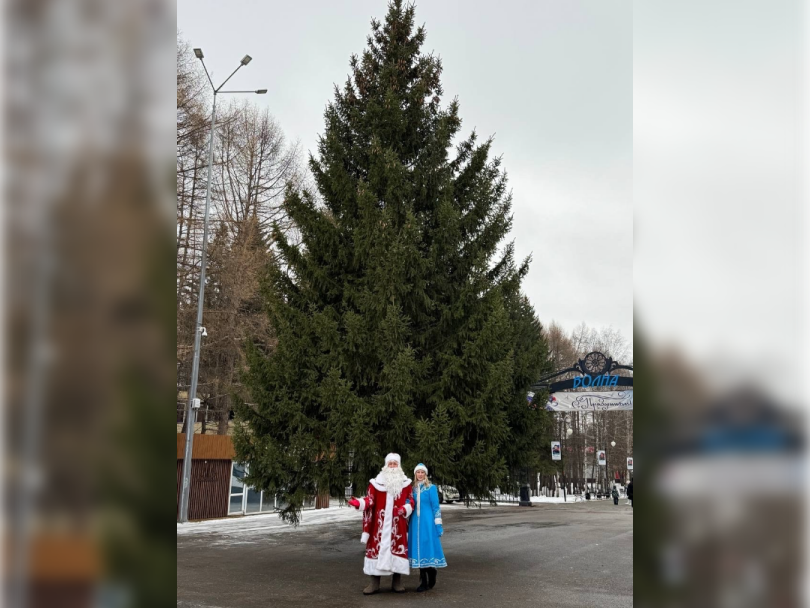 В Уфе установили первую новогоднюю елку В Уфе установили первую новогоднюю елку
