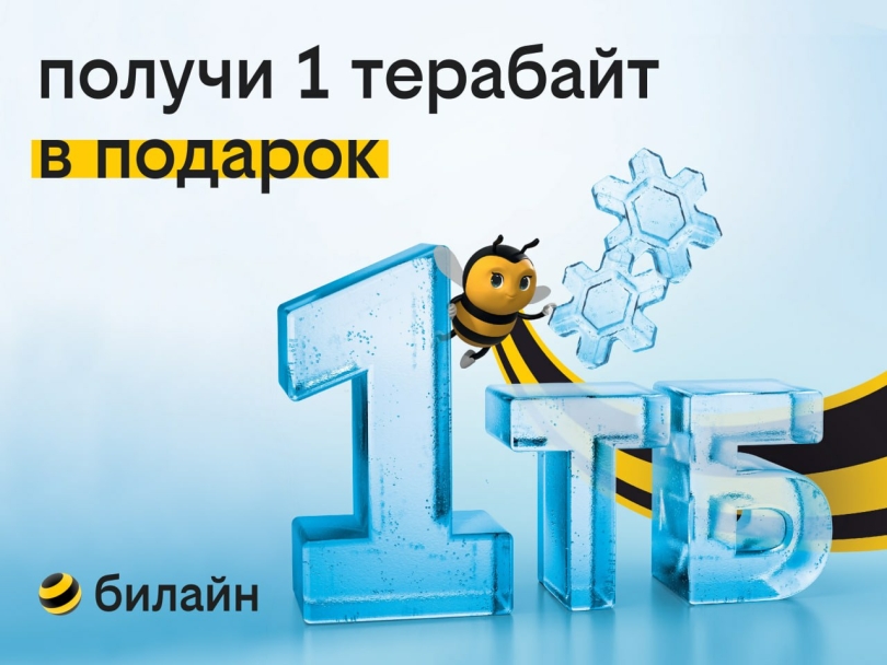 1 терабайт для всех: билайн дарит возможность забыть о трафике на целый год 1 терабайт для всех: билайн дарит возможность забыть о трафике на целый год