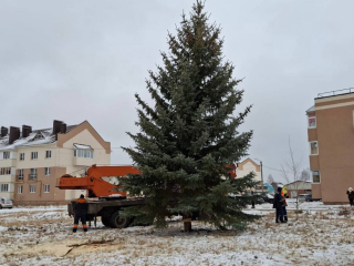 В Калининском районе Уфы установили третью новогоднюю елку