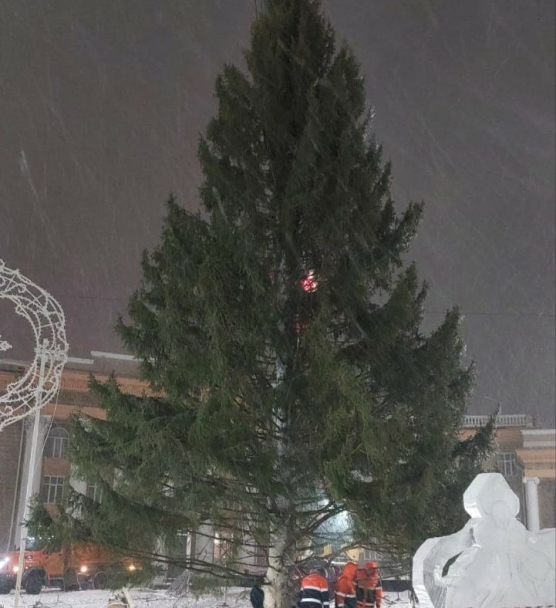 В Уфе подняли упавшую из-за ветра елку В Уфе подняли упавшую из-за ветра елку