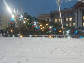 В Уфе сильный ветер повалил елку возле дворца Орджоникидзе