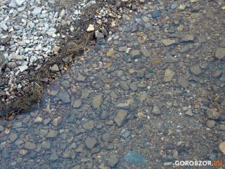 Башкирия вошла в число лидеров по итогам Всероссийской акции «Вода России»